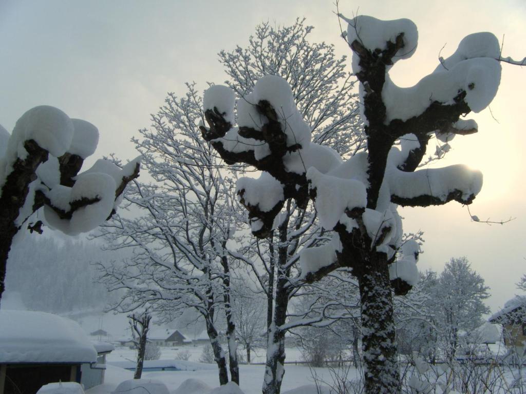 Parkhotel Bellevue Budget Lenk Dış mekan fotoğraf