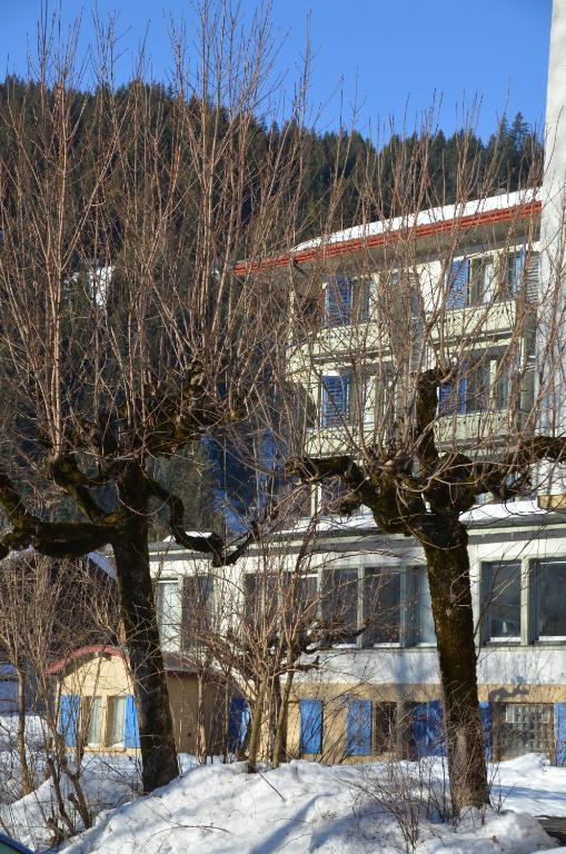 Parkhotel Bellevue Budget Lenk Dış mekan fotoğraf