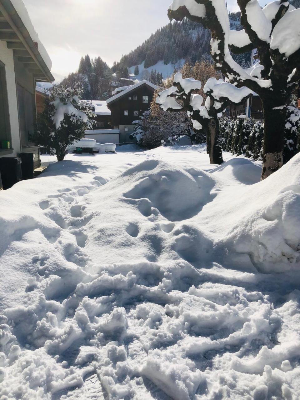 Parkhotel Bellevue Budget Lenk Dış mekan fotoğraf