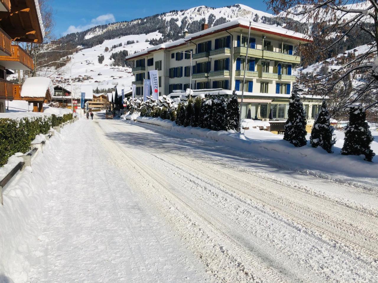 Parkhotel Bellevue Budget Lenk Dış mekan fotoğraf